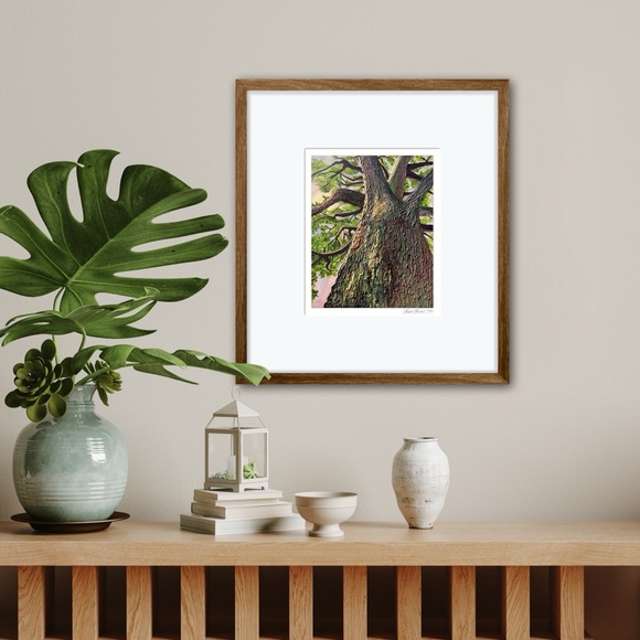 ‘Grounded’ Limited Edition Glicée Fine Art Print Unframed Signed Nature Tree - Picture 8 of 8